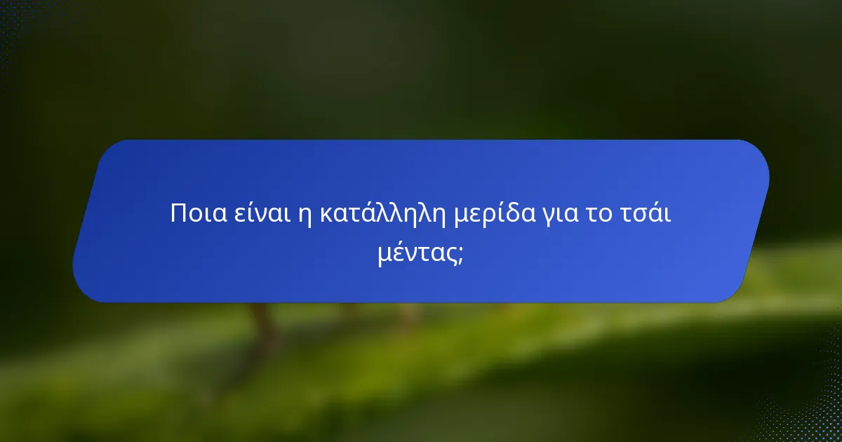 Ποια είναι η κατάλληλη μερίδα για το τσάι μέντας;